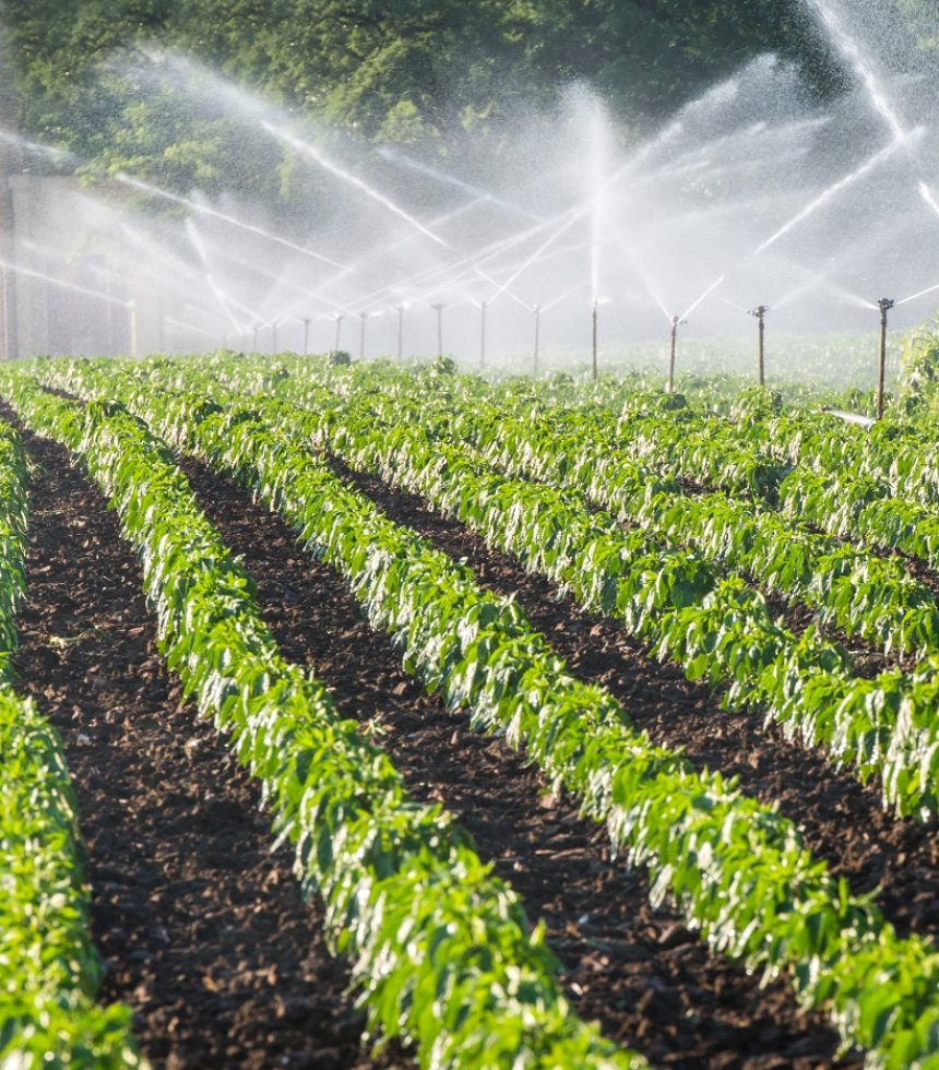 Irrigation system on green field